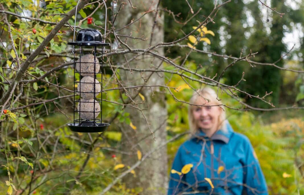 Foderkugler til fuglene uden plastiknet.